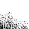 seed